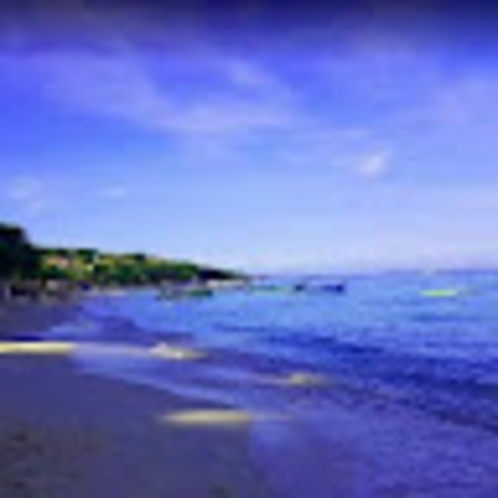 Meet your Posher, Necole